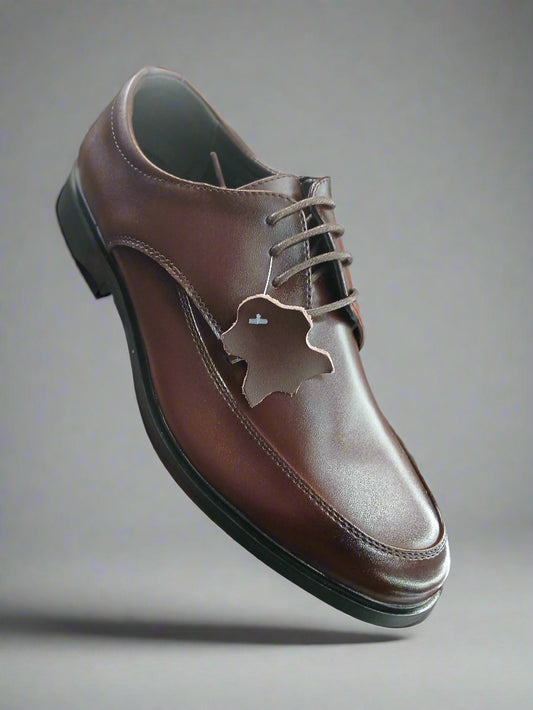Brown leather shoe held by a hand with a blurred background